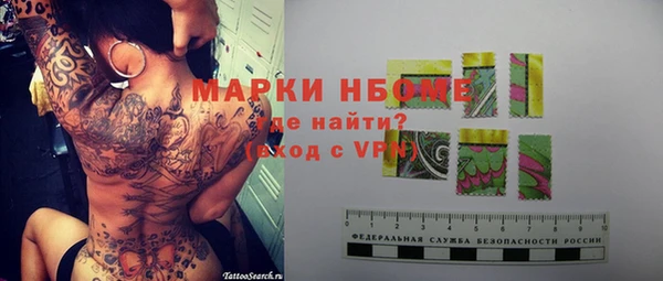 хмурый Ступино