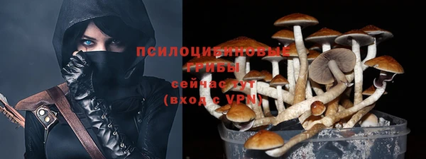 ешки Строитель