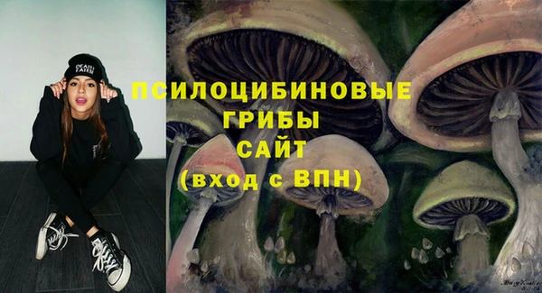каннабис Дубовка