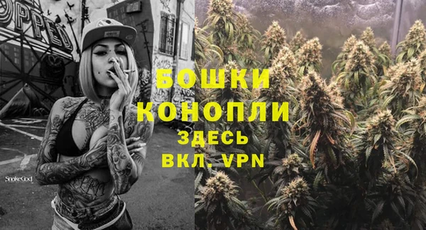 молекула духа Струнино