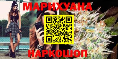 сатива Беслан