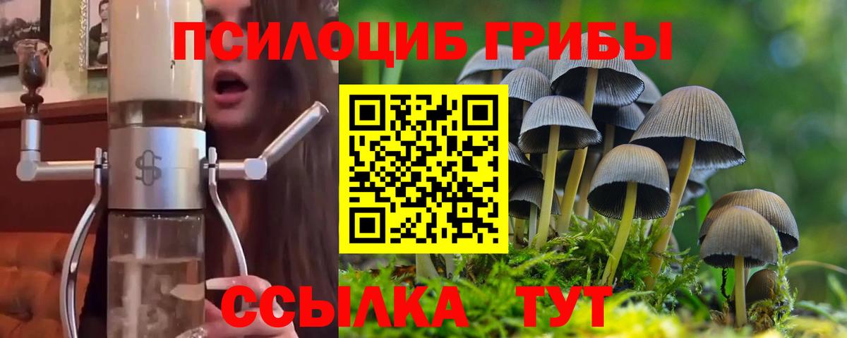 Богданович  Псилоцибиновые грибы ЛСД  Вход с VPN 
