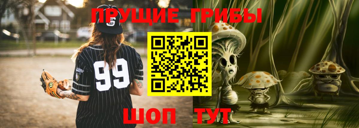 Псилоцибиновые грибы Cubensis Богданович